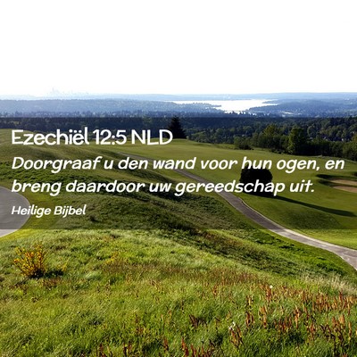 Picture 02 - Ezechiël 12:5 NLD - Doorgraaf u den wand voor hun ogen, en breng - Bible Verse Picture