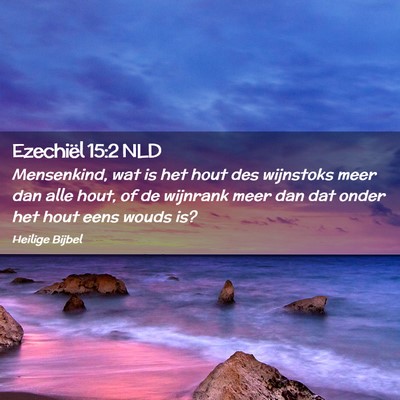Picture 02 - Ezechiël 15:2 NLD - Mensenkind, wat is het hout des wijnstoks meer - Bible Verse Picture