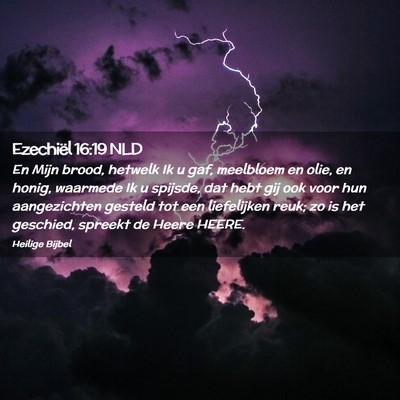 Picture 02 - Ezechiël 16:19 NLD - En Mijn brood, hetwelk Ik u gaf, meelbloem en - Bible Verse Picture