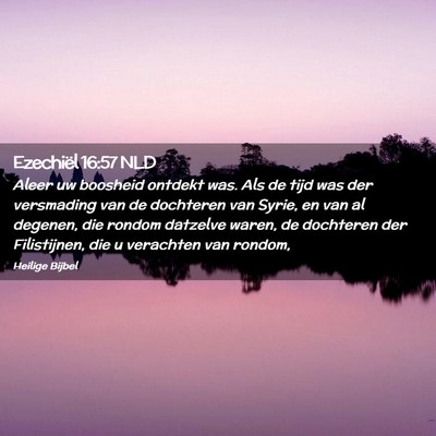 Picture 02 - Ezechiël 16:57 NLD - Aleer uw boosheid ontdekt was. Als de tijd was - Bible Verse Picture