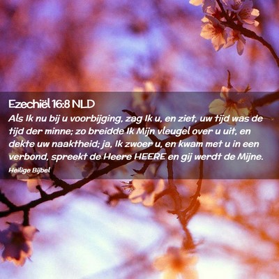Picture 02 - Ezechiël 16:8 NLD - Als Ik nu bij u voorbijging, zag Ik u, en ziet, - Bible Verse Picture
