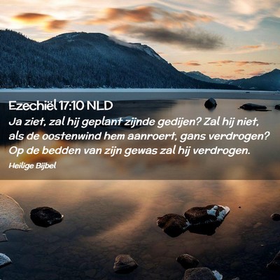 Picture 02 - Ezechiël 17:10 NLD - Ja ziet, zal hij geplant zijnde gedijen? Zal hij - Bible Verse Picture