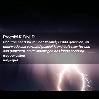 Picture 02 - Ezechiël 17:13 NLD - Daartoe heeft hij van het koninklijk zaad - Bible Verse Picture