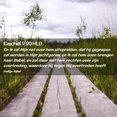 Picture 02 - Ezechiël 17:20 NLD - En Ik zal Mijn net over hem uitspreiden, dat hij - Bible Verse Picture
