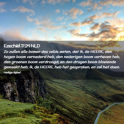 Picture 02 - Ezechiël 17:24 NLD - Zo zullen alle bomen des velds weten, dat Ik, de - Bible Verse Picture