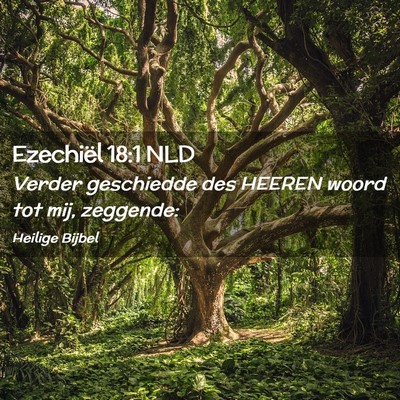 Picture 02 - Ezechiël 18:1 NLD - Verder geschiedde des HEEREN woord tot mij, - Bible Verse Picture