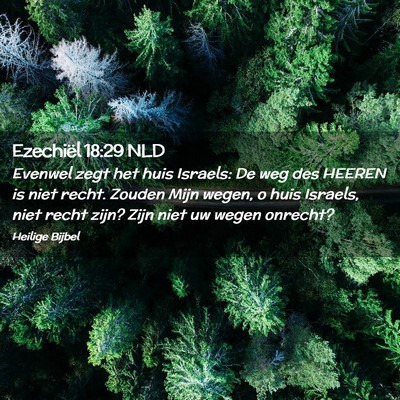 Picture 02 - Ezechiël 18:29 NLD - Evenwel zegt het huis Israels: De weg des HEEREN - Bible Verse Picture