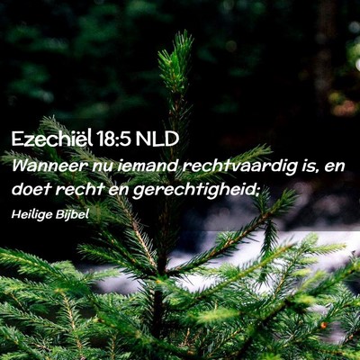 Picture 02 - Ezechiël 18:5 NLD - Wanneer nu iemand rechtvaardig is, en doet recht - Bible Verse Picture