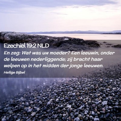 Picture 02 - Ezechiël 19:2 NLD - En zeg: Wat was uw moeder? Een leeuwin, onder de - Bible Verse Picture