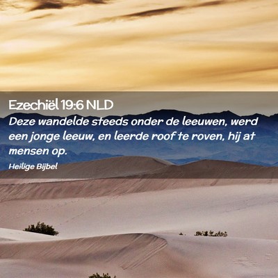 Picture 02 - Ezechiël 19:6 NLD - Deze wandelde steeds onder de leeuwen, werd een - Bible Verse Picture