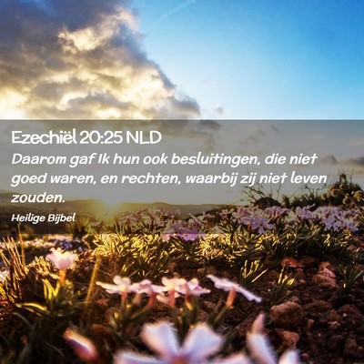 Picture 02 - Ezechiël 20:25 NLD - Daarom gaf Ik hun ook besluitingen, die niet goed - Bible Verse Picture