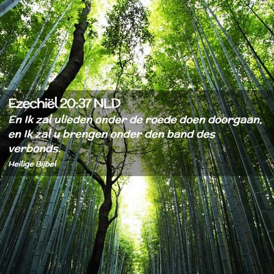 Picture 02 - Ezechiël 20:37 NLD - En Ik zal ulieden onder de roede doen doorgaan, - Bible Verse Picture