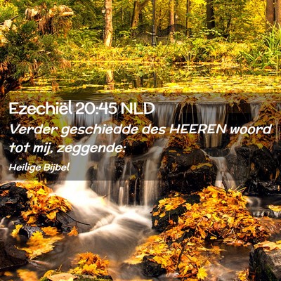 Picture 02 - Ezechiël 20:45 NLD - Verder geschiedde des HEEREN woord tot mij, - Bible Verse Picture