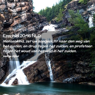Picture 02 - Ezechiël 20:46 NLD - Mensenkind, zet uw aangezicht naar den weg van - Bible Verse Picture