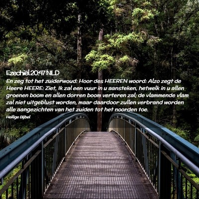 Picture 02 - Ezechiël 20:47 NLD - En zeg tot het zuiderwoud: Hoor des HEEREN woord: - Bible Verse Picture