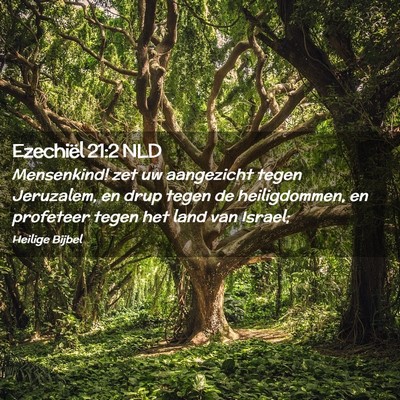 Picture 02 - Ezechiël 21:2 NLD - Mensenkind! zet uw aangezicht tegen Jeruzalem, en - Bible Verse Picture