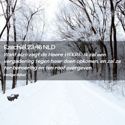 Picture 02 - Ezechiël 23:46 NLD - Want alzo zegt de Heere HEERE: Ik zal een - Bible Verse Picture