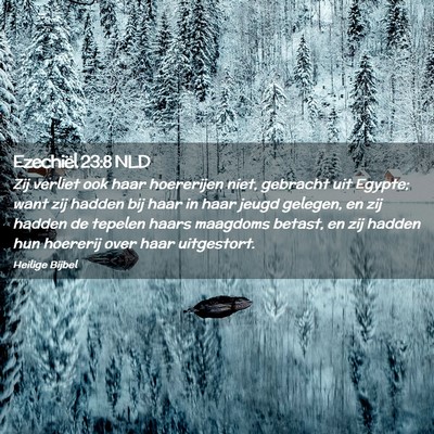 Picture 02 - Ezechiël 23:8 NLD - Zij verliet ook haar hoererijen niet, gebracht - Bible Verse Picture