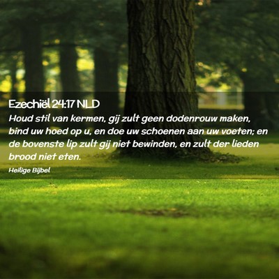 Picture 02 - Ezechiël 24:17 NLD - Houd stil van kermen, gij zult geen dodenrouw - Bible Verse Picture