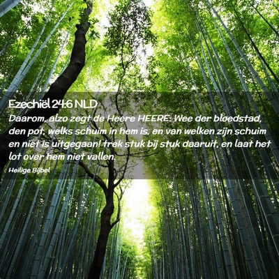 Picture 02 - Ezechiël 24:6 NLD - Daarom, alzo zegt de Heere HEERE: Wee der - Bible Verse Picture