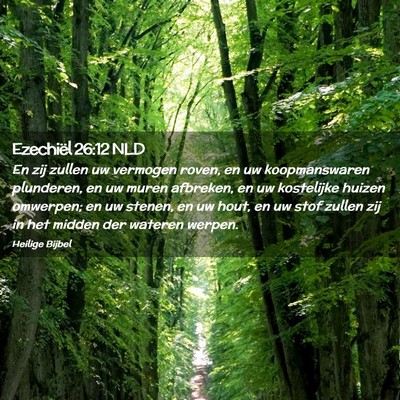Picture 02 - Ezechiël 26:12 NLD - En zij zullen uw vermogen roven, en uw - Bible Verse Picture