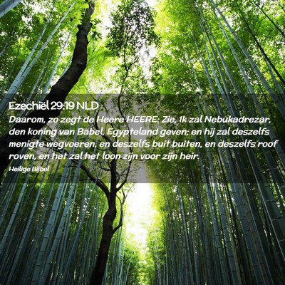 Picture 02 - Ezechiël 29:19 NLD - Daarom, zo zegt de Heere HEERE: Zie, Ik zal - Bible Verse Picture
