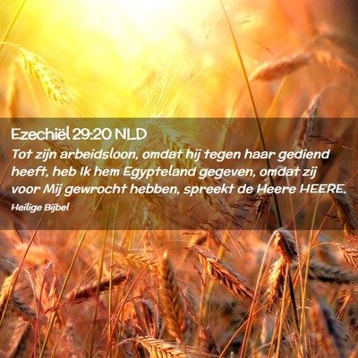 Picture 02 - Ezechiël 29:20 NLD - Tot zijn arbeidsloon, omdat hij tegen haar - Bible Verse Picture