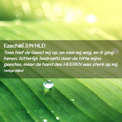 Picture 02 - Ezechiël 3:14 NLD - Toen hief de Geest mij op, en nam mij weg, en ik - Bible Verse Picture