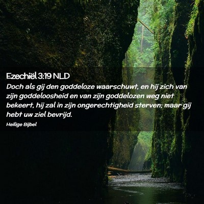 Picture 02 - Ezechiël 3:19 NLD - Doch als gij den goddeloze waarschuwt, en hij - Bible Verse Picture