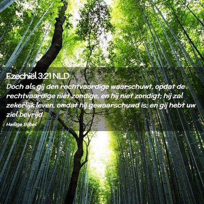 Picture 02 - Ezechiël 3:21 NLD - Doch als gij den rechtvaardige waarschuwt, opdat - Bible Verse Picture