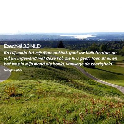 Picture 02 - Ezechiël 3:3 NLD - En Hij zeide tot mij: Mensenkind, geef uw buik te - Bible Verse Picture