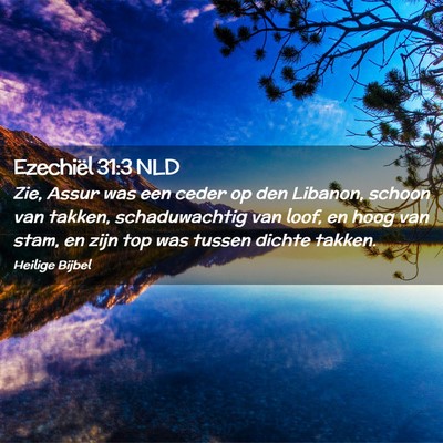Picture 02 - Ezechiël 31:3 NLD - Zie, Assur was een ceder op den Libanon, schoon - Bible Verse Picture