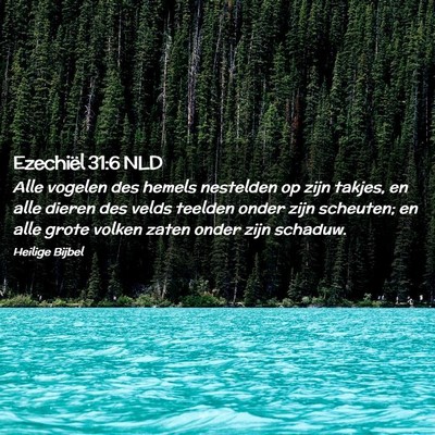 Picture 02 - Ezechiël 31:6 NLD - Alle vogelen des hemels nestelden op zijn takjes, - Bible Verse Picture