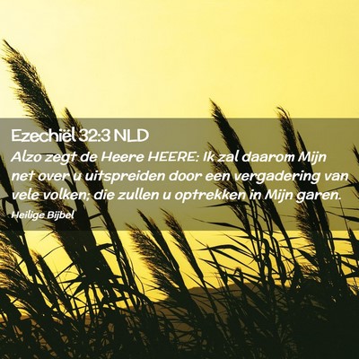 Picture 02 - Ezechiël 32:3 NLD - Alzo zegt de Heere HEERE: Ik zal daarom Mijn net - Bible Verse Picture