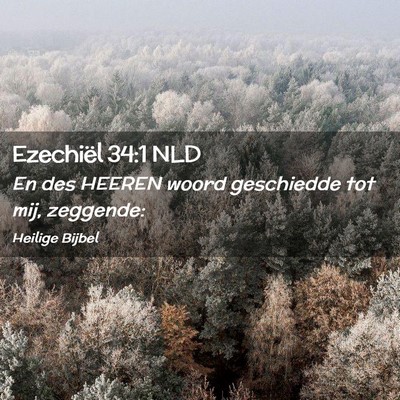 Picture 02 - Ezechiël 34:1 NLD - En des HEEREN woord geschiedde tot mij, - Bible Verse Picture