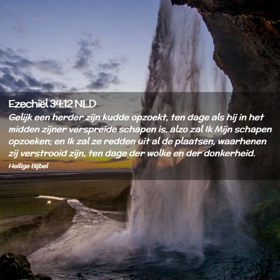 Picture 02 - Ezechiël 34:12 NLD - Gelijk een herder zijn kudde opzoekt, ten dage - Bible Verse Picture