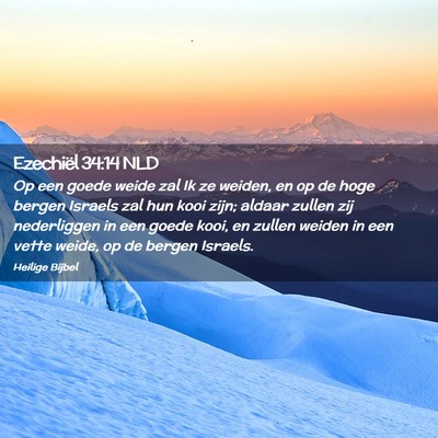 Picture 02 - Ezechiël 34:14 NLD - Op een goede weide zal Ik ze weiden, en op de - Bible Verse Picture