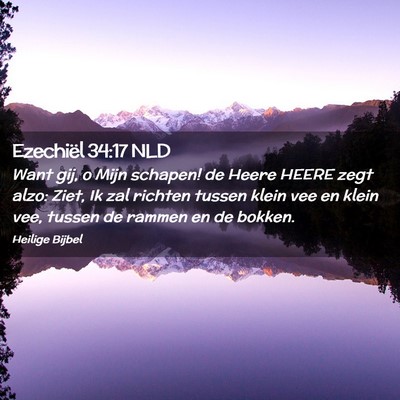 Picture 02 - Ezechiël 34:17 NLD - Want gij, o Mijn schapen! de Heere HEERE zegt - Bible Verse Picture