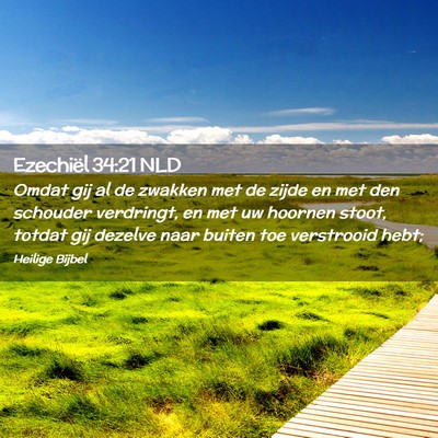 Picture 02 - Ezechiël 34:21 NLD - Omdat gij al de zwakken met de zijde en met den - Bible Verse Picture