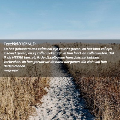 Picture 02 - Ezechiël 34:27 NLD - En het geboomte des velds zal zijn vrucht geven, - Bible Verse Picture