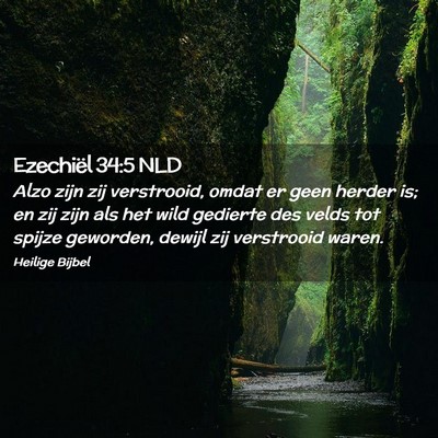 Picture 02 - Ezechiël 34:5 NLD - Alzo zijn zij verstrooid, omdat er geen herder - Bible Verse Picture
