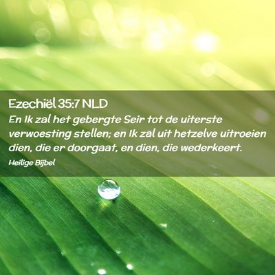 Picture 02 - Ezechiël 35:7 NLD - En Ik zal het gebergte Seir tot de uiterste - Bible Verse Picture