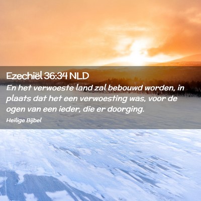 Picture 02 - Ezechiël 36:34 NLD - En het verwoeste land zal bebouwd worden, in - Bible Verse Picture