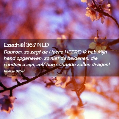 Picture 02 - Ezechiël 36:7 NLD - Daarom, zo zegt de Heere HEERE: Ik heb Mijn hand - Bible Verse Picture