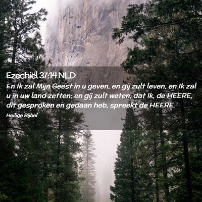 Picture 02 - Ezechiël 37:14 NLD - En Ik zal Mijn Geest in u geven, en gij zult - Bible Verse Picture