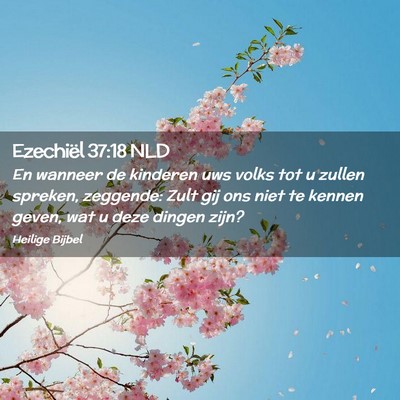 Picture 02 - Ezechiël 37:18 NLD - En wanneer de kinderen uws volks tot u zullen - Bible Verse Picture