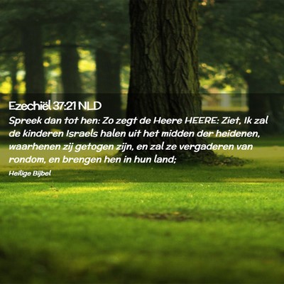 Picture 02 - Ezechiël 37:21 NLD - Spreek dan tot hen: Zo zegt de Heere HEERE: Ziet, - Bible Verse Picture