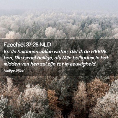 Picture 02 - Ezechiël 37:28 NLD - En de heidenen zullen weten, dat Ik de HEERE ben, - Bible Verse Picture