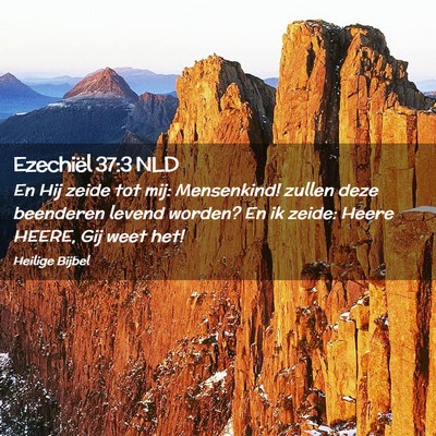 Picture 02 - Ezechiël 37:3 NLD - En Hij zeide tot mij: Mensenkind! zullen deze - Bible Verse Picture