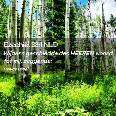Picture 02 - Ezechiël 38:1 NLD - Wijders geschiedde des HEEREN woord tot mij, - Bible Verse Picture